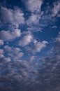 High in the Clouds. by Roy IJpelaar thumbnail