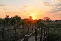 Bruggetje over het water bij zonsondergang