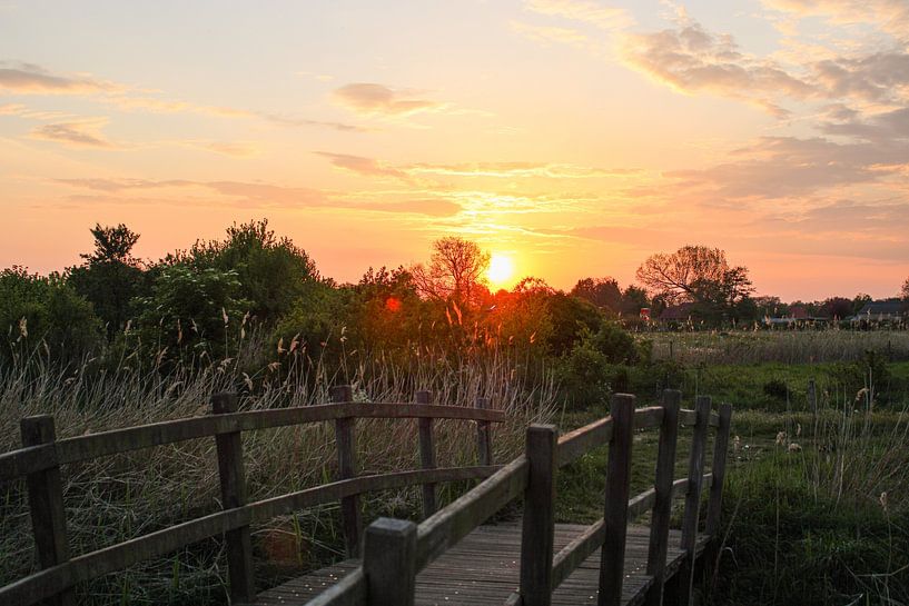 Bridge over the water at sunset by Daphne Dorrestijn