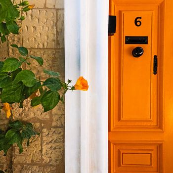 Orange door and flower, Valletta Malta