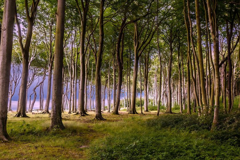 Le monde des esprits sur la mer Baltique par Thomas Heitz