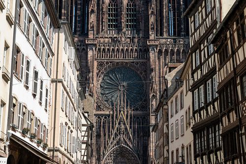 Cathédrale Notre Dame de Strasbourg