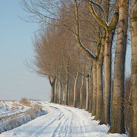 winter@zwevegem von Bart Colson