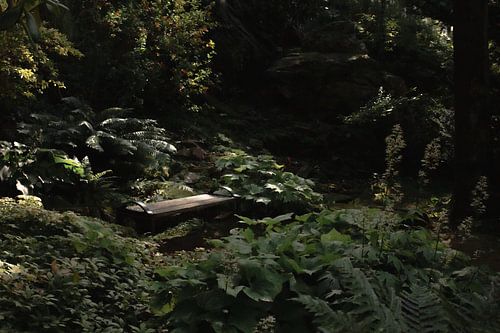 L'aire de repos verte