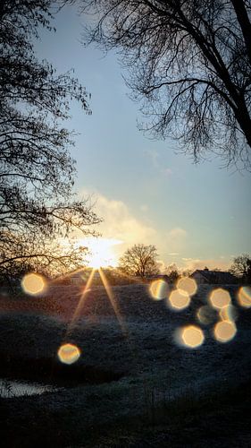 Sonne nach dem Schneeschauer von Jan van der Knaap