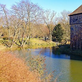 Kasteelruïnes in Bad Vilbel van Thomas Riess