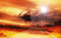 Zon van David Pichler thumbnail