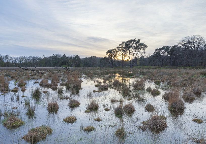 Schipborg - Drenthe (Netherlands) by Marcel Kerdijk