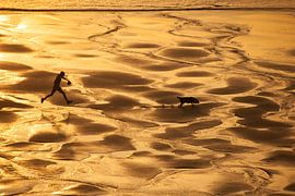 Walking the dog by Nella van Zalk