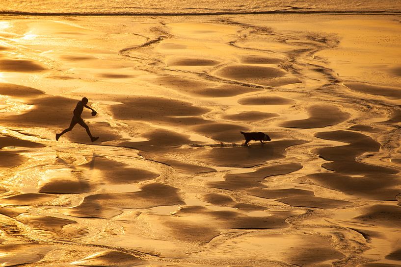 Promener le chien par Nella van Zalk
