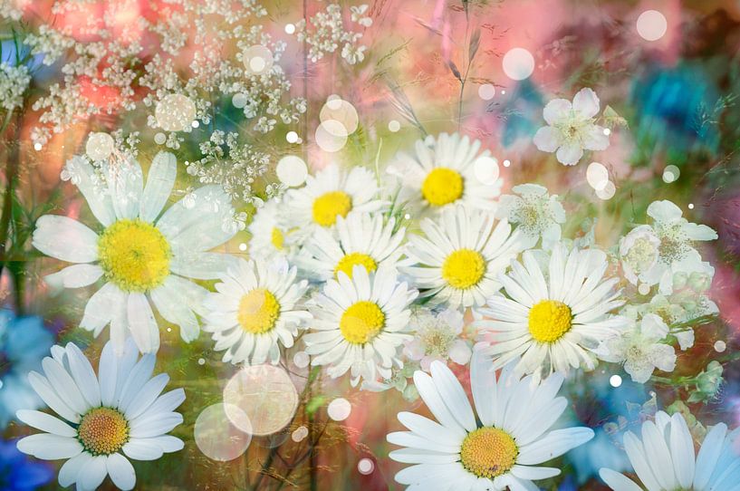 Flower Fantasy by Corinne Welp