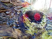 Tree Magic 106 - Elves Benches! by MoArt (Maurice Heuts) thumbnail