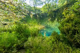 Underwater landscape by Matthijs de Vos