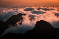 Above the clouds