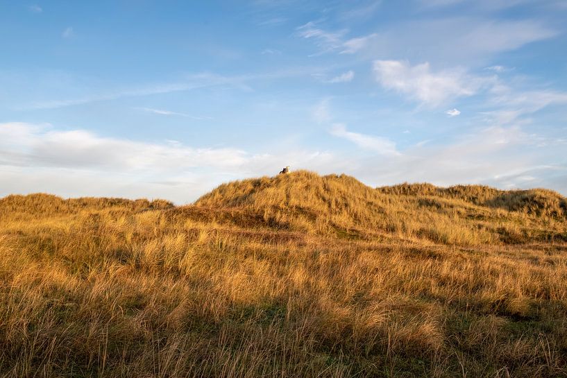 The Oerd by Eilandkarakters Ameland