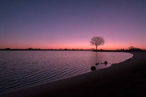 Mooie zonsopkomst bij boom op krib