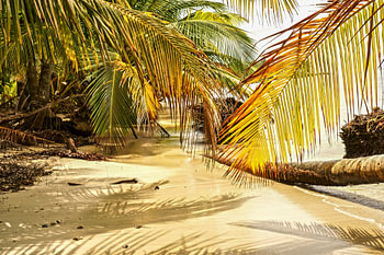 bocas del toro
