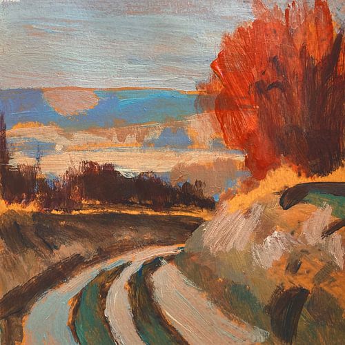 Country road with red bush by Nop Briex