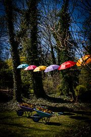 Rathenow „Stadt der Optik“ von David Krause