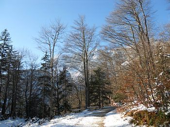 Untersberg – onderweg langs de oostflank