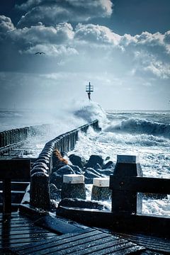 Tempête sur Evert Jan Looise