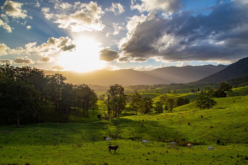 New South Wales, Australie by Willem Vernes