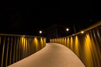 Loopbrug Tiel