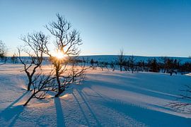 Sunrise in an enchanting winter landscape by Leo Schindzielorz