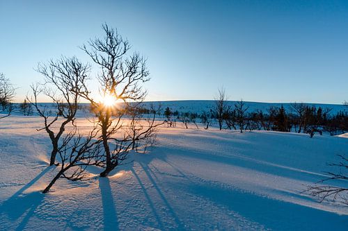 Zonsopgang in een betoverend winterlandschap