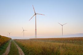 Windmills in the Morning by Johan Vanbockryck