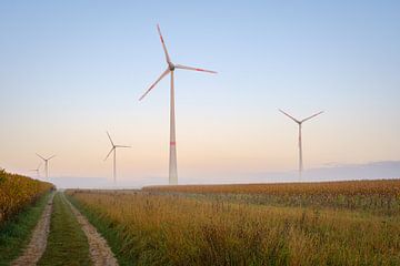 Windmolens in de Ochtend van Johan Vanbockryck