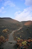 Paths on La Palma