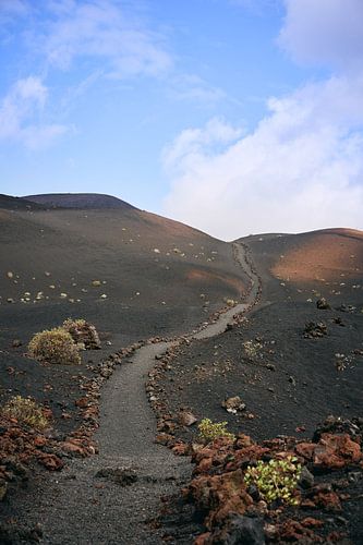 Paden op La Palma