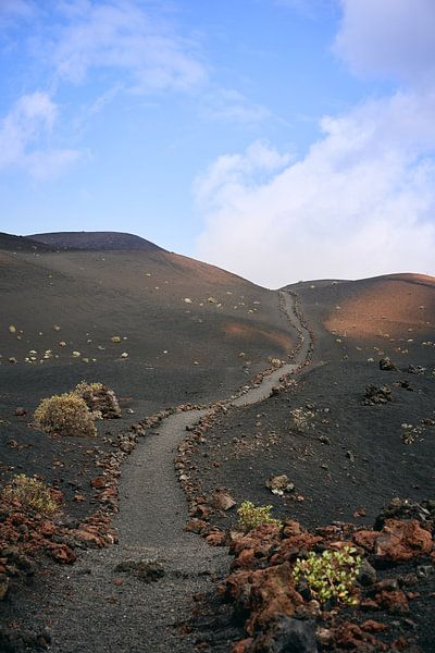 Paths on La Palma by MijuKasi