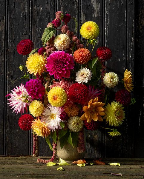 Dahlia in the sun by Ingrid De Laat- de Bont