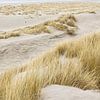 In de duinen in de winter op het eiland Terschelling van Lydia