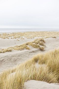 Dans les dunes en hiver sur l'île de Terschelling sur Lydia