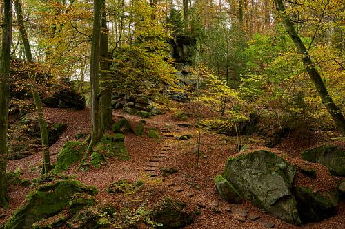 Dance of autumn leaves