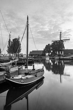 Molen in de haven van Harderwijk van Dennis Mulder