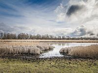 Oostvaarders lakes