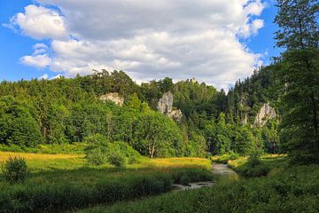 Le Danube près de Fridingen avec vue sur les ruines de Kallenberg - Parc naturel du Haut-Danube sur BlattArt - Christine Horn