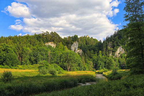 De Donau bij Fridingen met uitzicht op de ruïnes van de Kallenberg - Natuurpark Opper-Donau