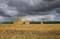 Roles of straw on the field