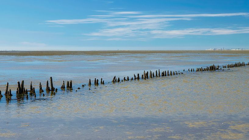 Vue sur la mer sans fin & têtes de pile anciennes par Sara in t Veld Fotografie
