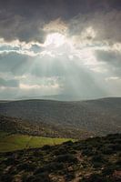 Uitzicht op Palestina