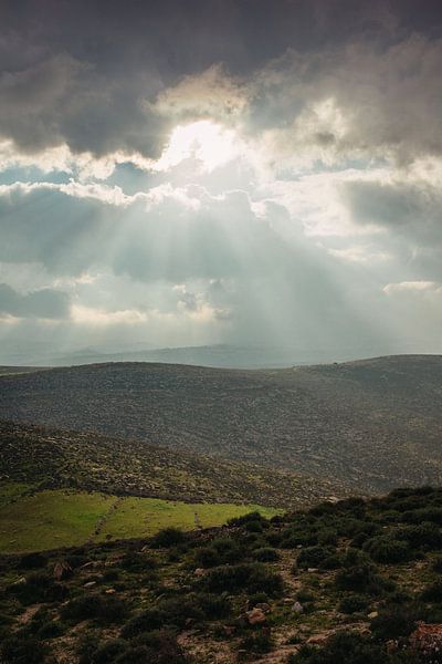 Uitzicht op Palestina van Lauri Miriam van Bodegraven