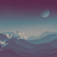 Japanese cranes - The land of the rising sun