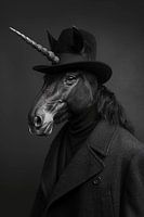 Black unicorn with clothes