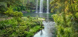 Whangarei Falls in Nieuw Zeeland van Achim Prill