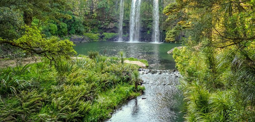 Whangarei Falls in Nieuw Zeeland van Achim Prill